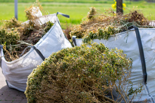 Best Commercial Cleanout Services  in Whitmore Lake, MI